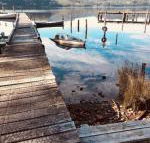 Salt Box Hideaway - Sunshine Coast Guide