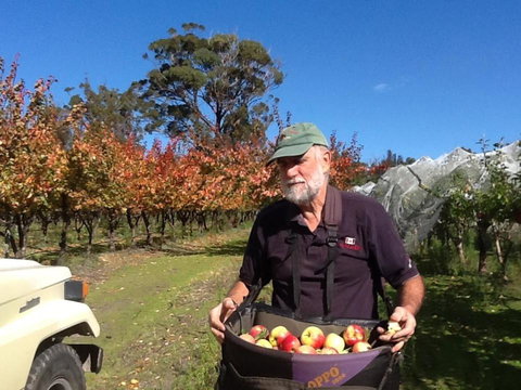 Eureka Farm - Sunshine Coast Guide 1
