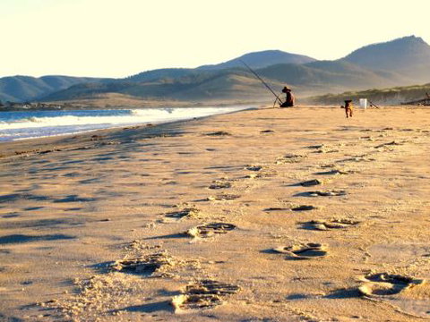 Eureka Farm - Sunshine Coast Guide 4