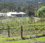 Eureka Farm - Sunshine Coast Guide