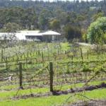 Eureka Farm - Sunshine Coast Guide 0