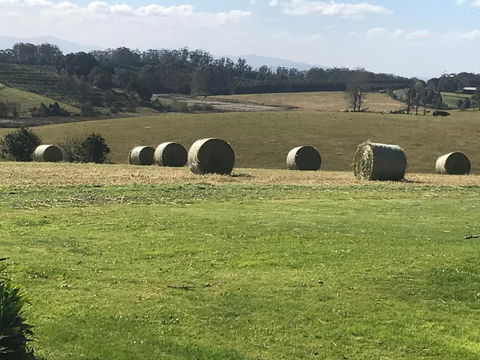 Windrush BnB Comboyne Australia - Sunshine Coast Guide 3