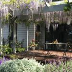 Windrush BnB Comboyne Australia - Sunshine Coast Guide 0