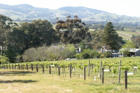 Archery Road Estate - Sunshine Coast Guide 0
