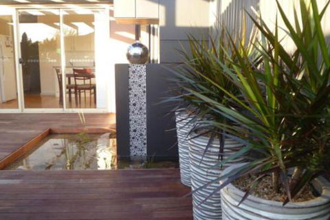The Wet Lizard - Sunshine Coast Guide 0