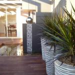 The Wet Lizard - Sunshine Coast Guide 1