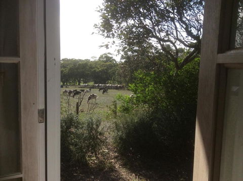 Aashay B & B - Sunshine Coast Guide 3