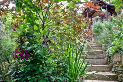 The Black Cockatoo Secret Garden Mountains Home - Sunshine Coast Guide 6