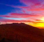 One Tree Hill - Sunshine Coast Guide