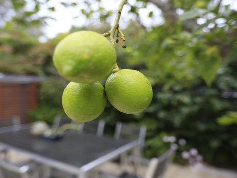 Tradewinds At The Bay All The Comforts Of Home - Sunshine Coast Guide 4