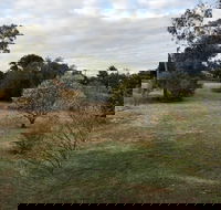Young Budget Accommodation - Sunshine Coast Guide