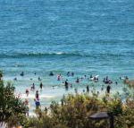 Pacific Towers Unit 4 19 Ormonde Tce Kings Beach - Sunshine Coast Guide