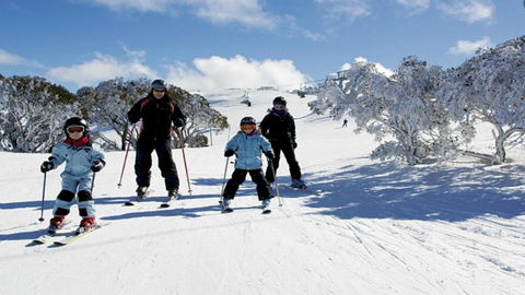 5 Maisonettes - Sunshine Coast Guide 7