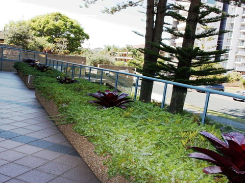 Twin Pines 401 CBD Location - Sunshine Coast Guide 1