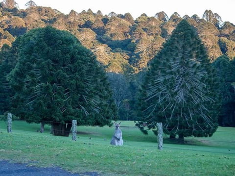 Escape To The Country - Enjoy The Firepit Or Explore Magical Bunya Mountains - Sunshine Coast Guide 0