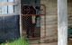 Escape To The Country - Enjoy The Firepit Or Explore Magical Bunya Mountains - thumb 1