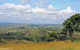 Escape To The Country - Enjoy The Firepit Or Explore Magical Bunya Mountains - thumb 3