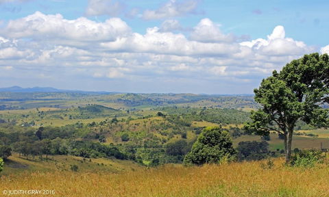 Escape To The Country - Enjoy The Firepit Or Explore Magical Bunya Mountains - Sunshine Coast Guide 3