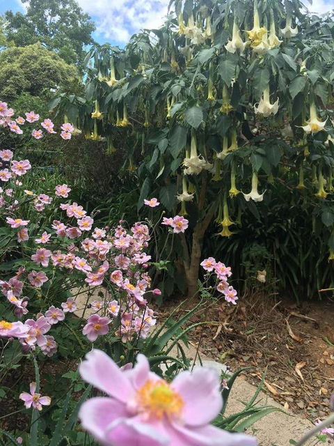 Adelaide Hills B & B Accommodation - Sunshine Coast Guide 6