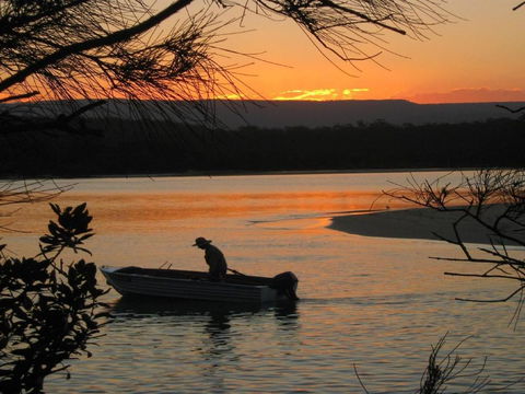 Wonky Pine Beach House NARRWALLEE 4 Bedroom - Sunshine Coast Guide 4