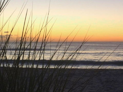 Wonky Pine Beach House NARRWALLEE 4 Bedroom - Sunshine Coast Guide 7
