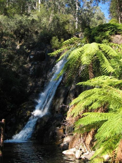 RiverCottage Selfcontained - Sunshine Coast Guide 2