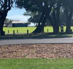 Yaringa cottage...by the sea - Sunshine Coast Guide