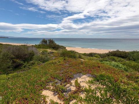 Aloha Direct Beach Access From Property - Sunshine Coast Guide 3