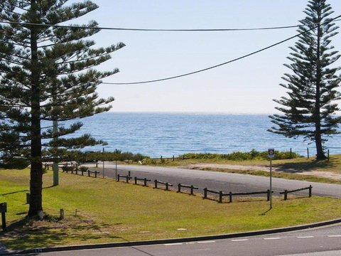 The Penguins Head Across From The Beach - Sunshine Coast Guide 4