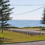 The Penguins Head Across From The Beach - Sunshine Coast Guide 0