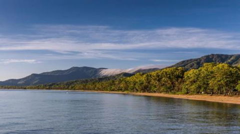 RED COWRIE 321atPALM COVE - Sunshine Coast Guide 3