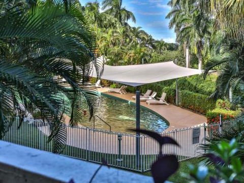 RED COWRIE 321atPALM COVE - Sunshine Coast Guide 4