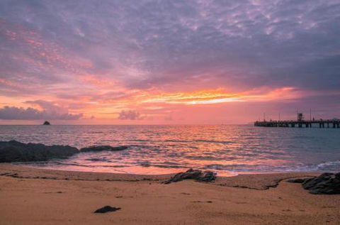 RED COWRIE 321atPALM COVE - Sunshine Coast Guide 5