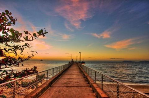 RED COWRIE 321atPALM COVE - Sunshine Coast Guide 2