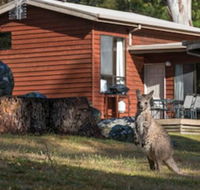 Wonderland Cottages - Sunshine Coast Guide