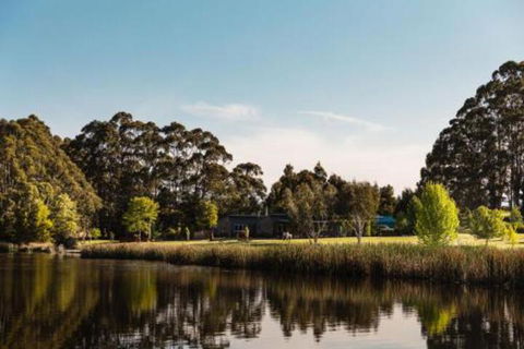 Wombat Edge - Sunshine Coast Guide 6
