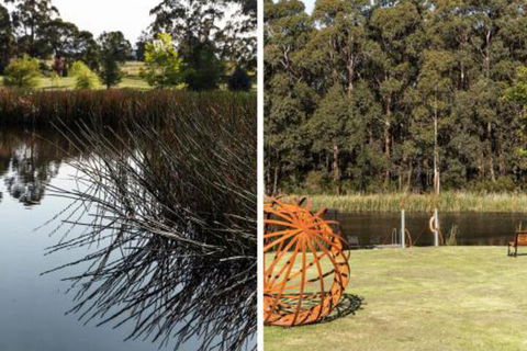 Wombat Edge - Sunshine Coast Guide 5