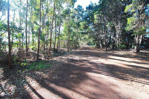 Vines & Stars - Sunshine Coast Guide 6