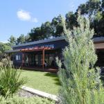 Vines & Stars - Sunshine Coast Guide 0
