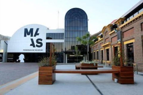 NEW Cozy Comfy APT Near Sydney Airport & CBD - Sunshine Coast Guide 6