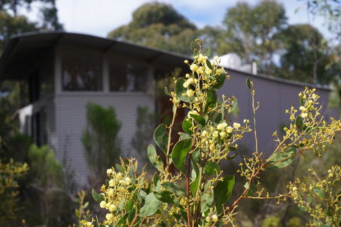 Ridgetop Retreats Deep Creek Conservation Park - Sunshine Coast Guide 2