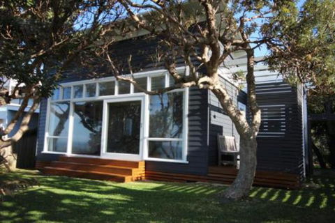 SEA URCHIN - Sunshine Coast Guide 0