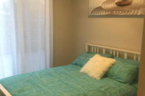 Seashells On Park Beach - Sunshine Coast Guide 2