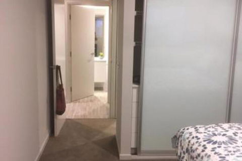 Seashells On Park Beach - Sunshine Coast Guide 3