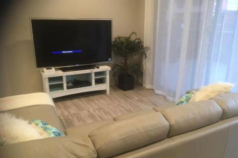 Seashells On Park Beach - Sunshine Coast Guide 6