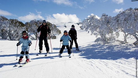 East 302 St. Falls - Sunshine Coast Guide 5