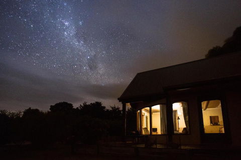 Herons Rise Vineyard Accommodation - Sunshine Coast Guide 3