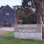 Herons Rise Vineyard Accommodation - Sunshine Coast Guide 0