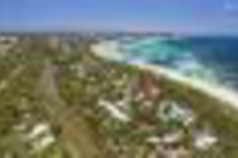 Seagull - Sunshine Coast Guide 4
