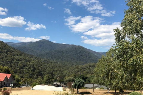 Alpine Stag Lodge Unit 2 - Sunshine Coast Guide 7